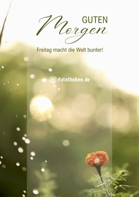 Guten Morgen, Freitag macht die Welt bunter!