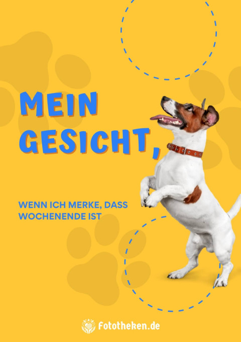 Mein Gesicht, wenn ich merke, dass Wochenende ist