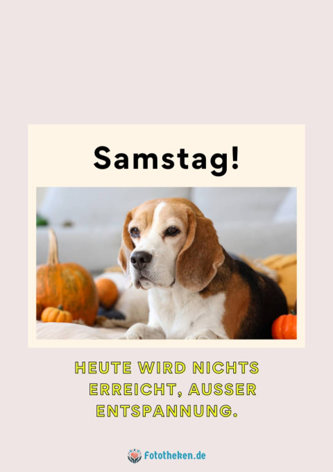 Samstag! Heute wird nichts erreicht, außer Entspannung