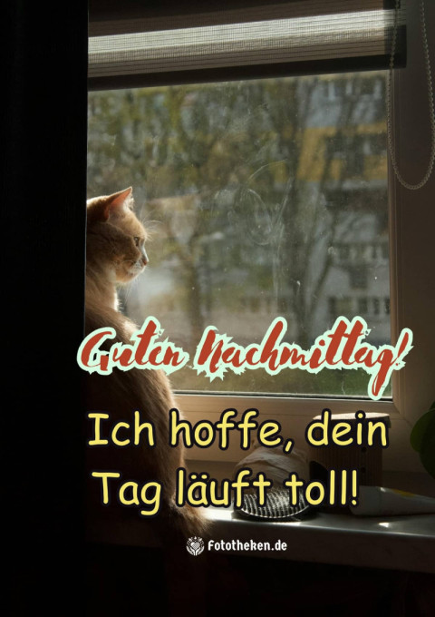 Guten Nachmittag! Ich hoffe, dein Tag läuft toll!