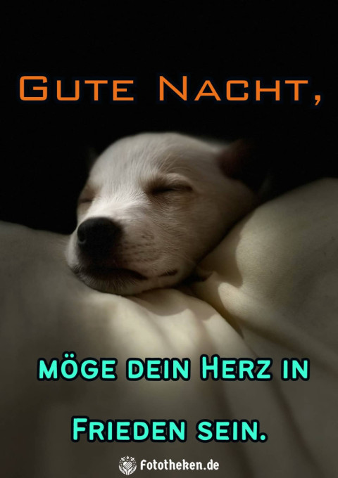 Gute Nacht, möge dein Herz in Frieden sein