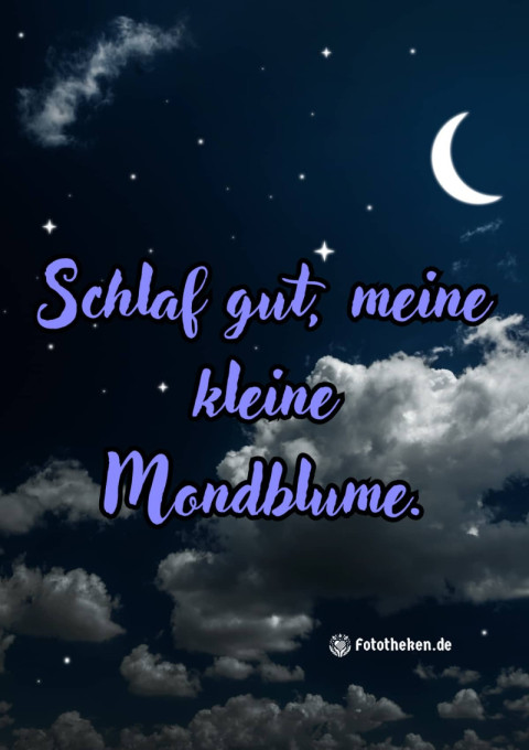 Schlaf gut, meine kleine Mondblume