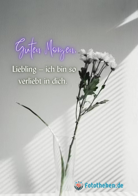 Guten Morgen, Liebling – ich bin so verliebt in dich