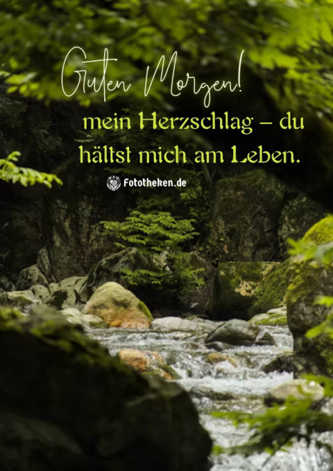 Guten Morgen, mein Herzschlag – du hältst mich am Leben