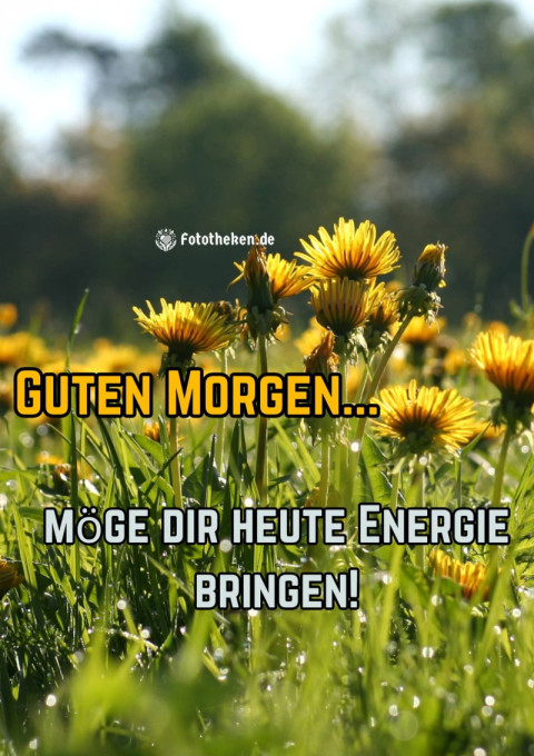 Guten Morgen, möge dir heute Energie bringen!