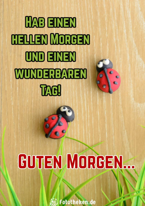 Hab einen hellen Morgen und einen wunderbaren Tag!