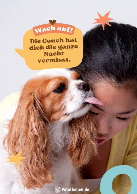 Wach auf! Die Couch hat dich die ganze Nacht vermisst