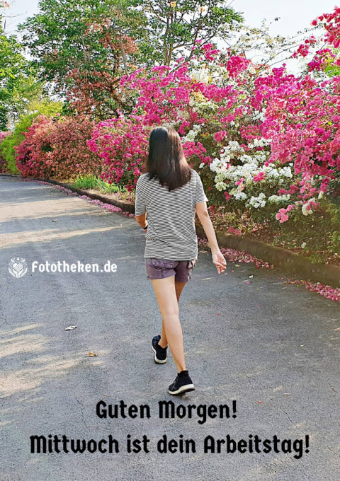Guten Morgen! Mittwoch ist dein Arbeitstag!