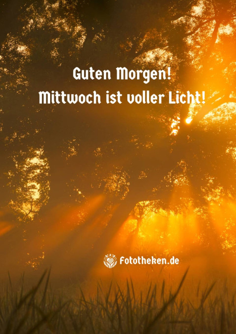 Guten Morgen! Mittwoch ist voller Licht!