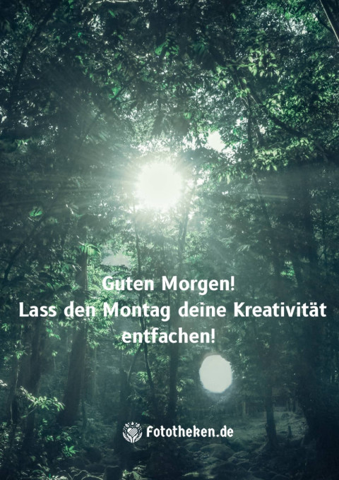 Guten Morgen! Lass den Montag deine Kreativität entfachen!