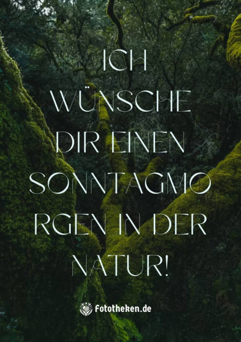 Ich wünsche dir einen Sonntagmorgen in der Natur!
