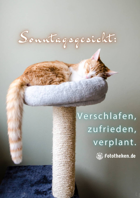 Sonntagsgesicht Verschlafen, zufrieden, verplant
