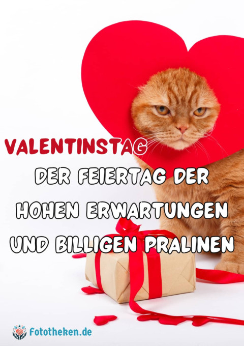 Valentinstag Der Feiertag der hohen Erwartungen und billigen Pralinen