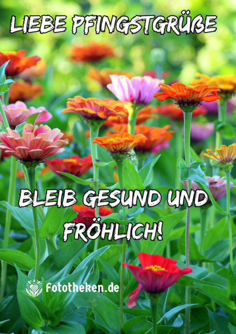 Liebe Pfingstgrüße – bleib gesund und fröhlich!