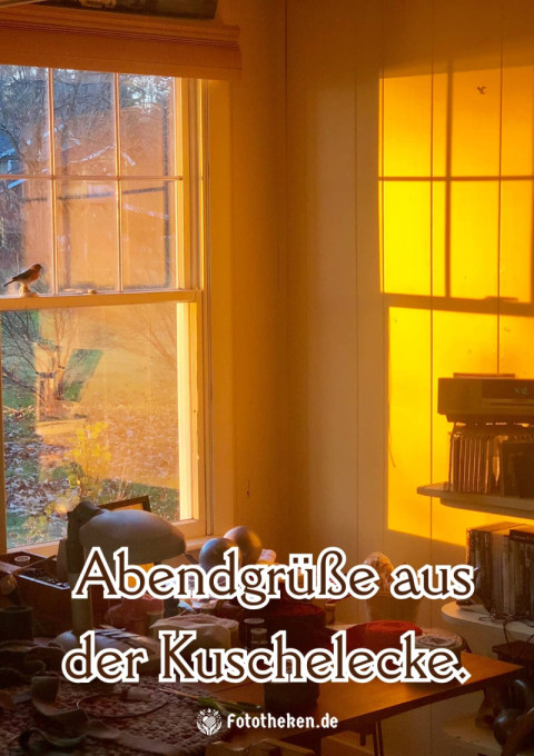 Abendgrüße aus der Kuschelecke