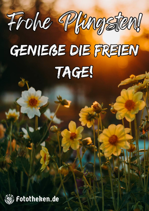 Frohe Pfingsten! Genieße die freien Tage!