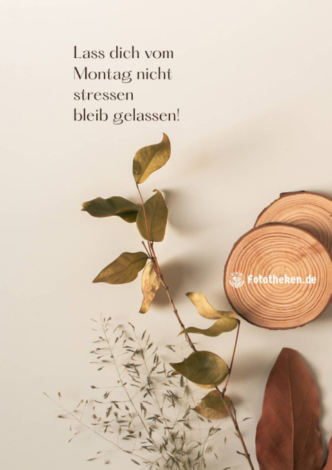 Lass dich vom Montag nicht stressen – bleib gelassen!