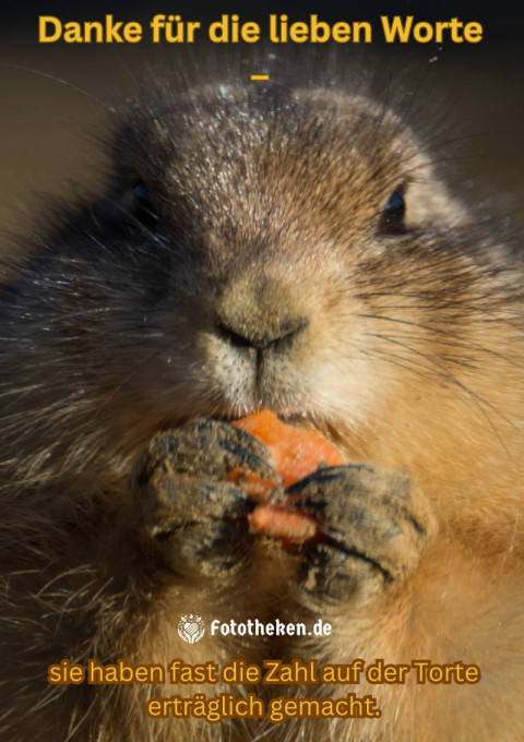Danke für die lieben Worte – sie haben fast die Zahl auf der Torte erträglich gemacht