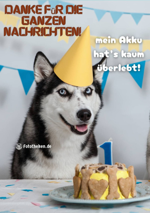 Danke für die ganzen Nachrichten – mein Akku hat’s kaum überlebt!