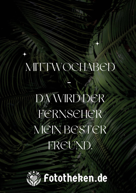 Mittwochabend – da wird der Fernseher mein bester Freund