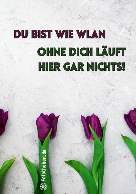 Du bist wie WLAN – ohne dich läuft hier gar nichts!