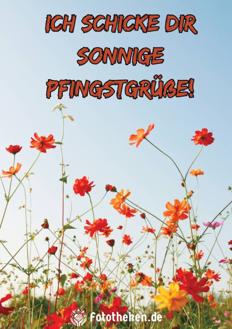 Ich schicke dir sonnige Pfingstgrüße!