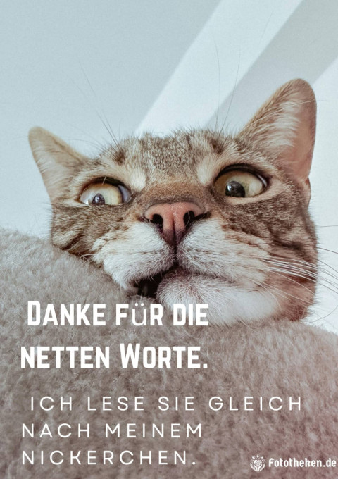 Danke für die netten Worte Ich lese sie gleich nach meinem Nickerchen