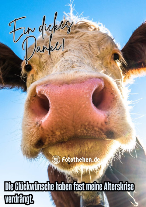 Ein dickes Danke! Die Glückwünsche haben fast meine Alterskrise verdrängt