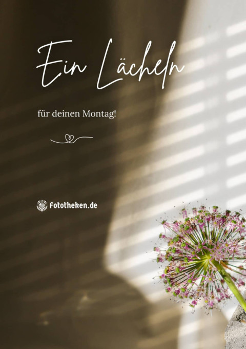 Ein Lächeln für deinen Montag!