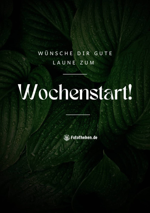 Wünsche dir gute Laune zum Wochenstart!