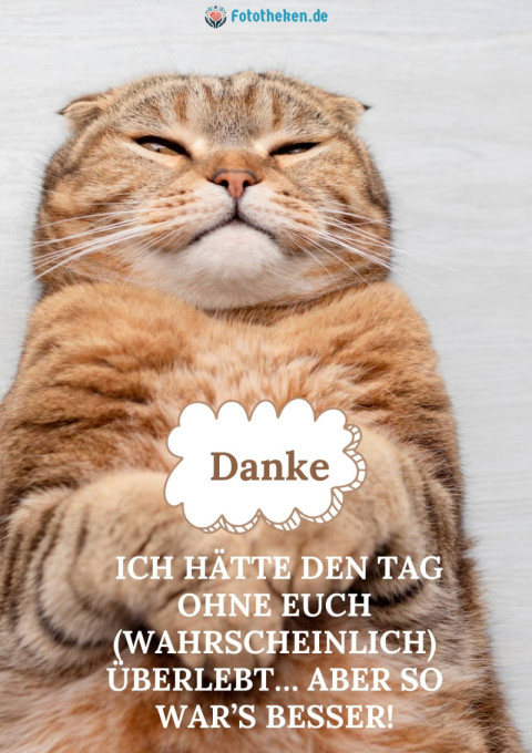 Danke – ich hätte den Tag ohne euch (wahrscheinlich) überlebt… aber so war’s besser!