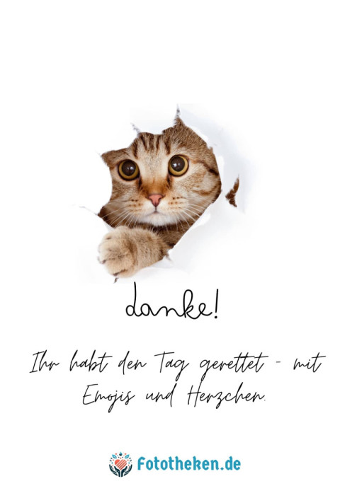 Danke! Ihr habt den Tag gerettet – mit Emojis und Herzchen