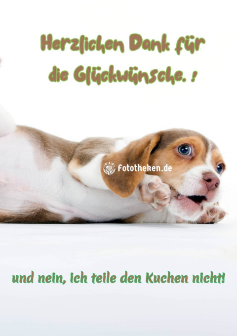 Herzlichen Dank für die Glückwünsche… und nein, ich teile den Kuchen nicht!