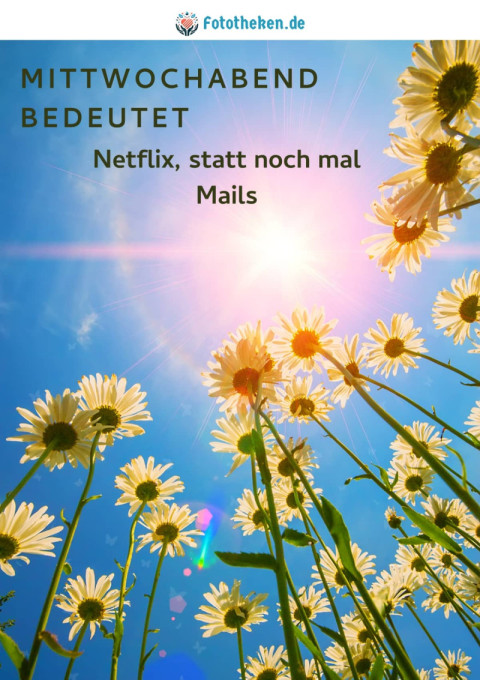 Mittwochabend bedeutet Netflix, statt noch mal Mails