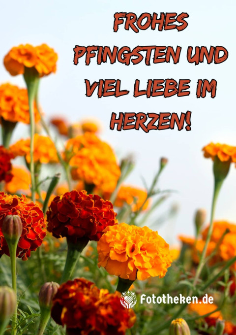 Frohes Pfingsten und viel Liebe im Herzen!