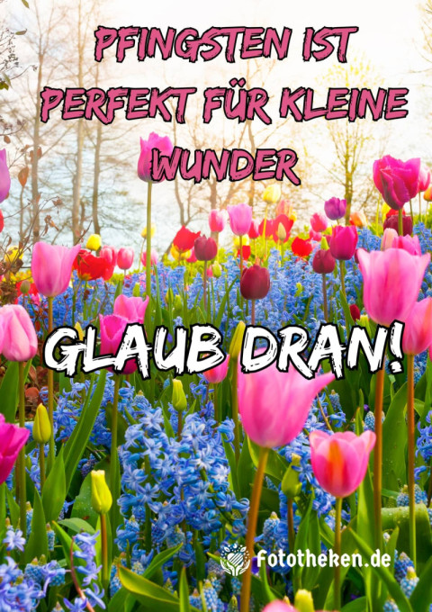 Pfingsten ist perfekt für kleine Wunder – glaub dran!