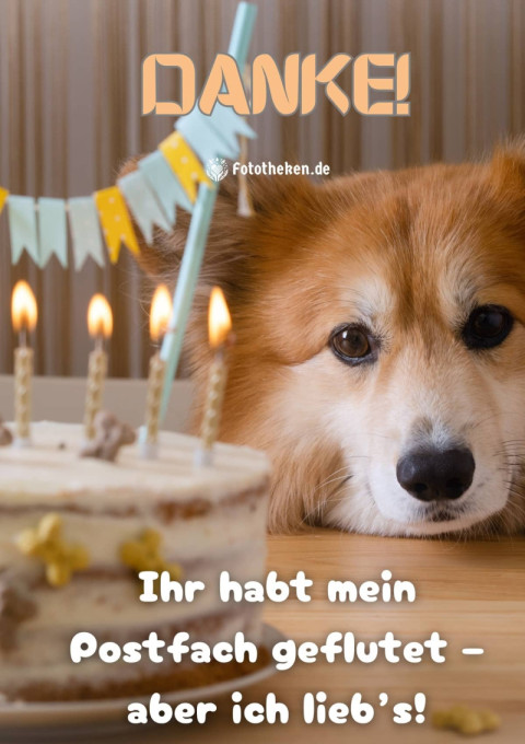 Danke! Ihr habt mein Postfach geflutet – aber ich lieb’s!