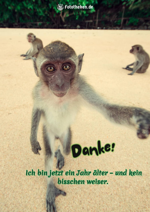 Danke! Ich bin jetzt ein Jahr älter – und kein bisschen weiser