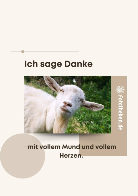 Ich sage Danke – mit vollem Mund und vollem Herzen