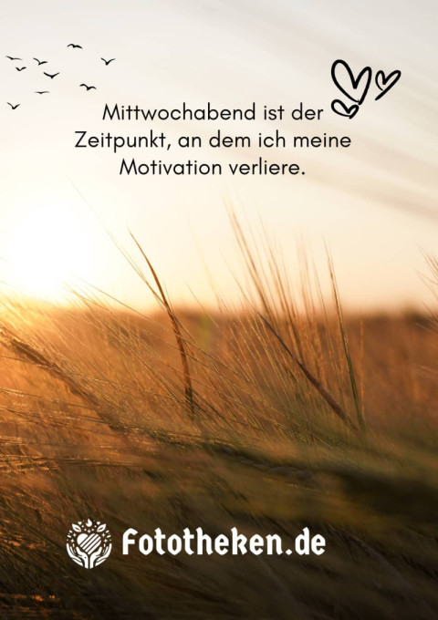 Mittwochabend ist der Zeitpunkt, an dem ich meine Motivation verliere