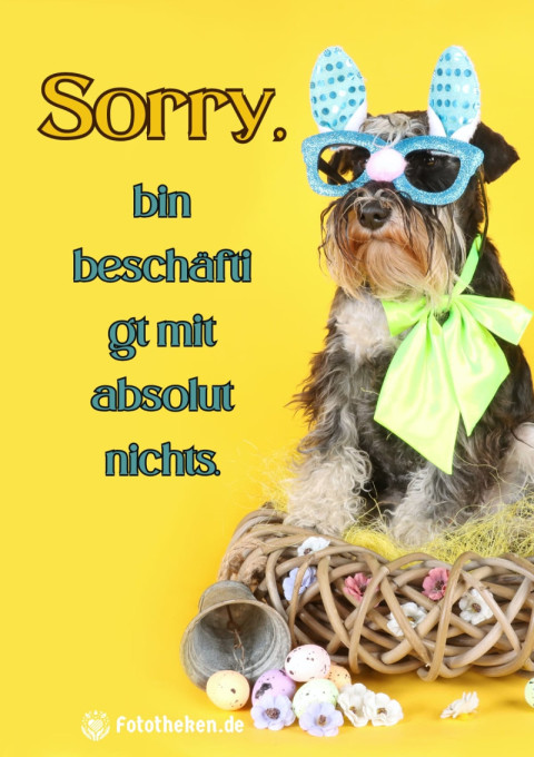 Sorry, bin beschäftigt mit absolut nichts