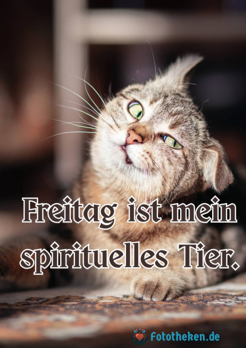 Freitag ist mein spirituelles Tier