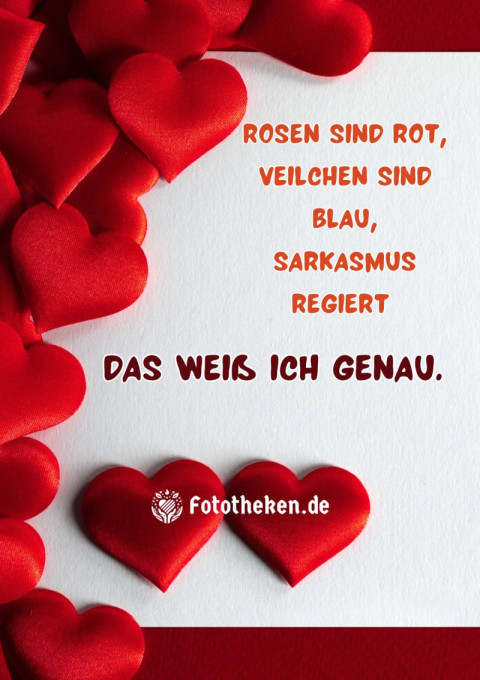 Rosen sind rot, Veilchen sind blau, Sarkasmus regiert – das weiß ich genau