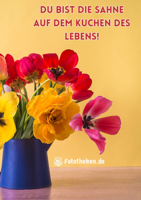 Du bist die Sahne auf dem Kuchen des Lebens!