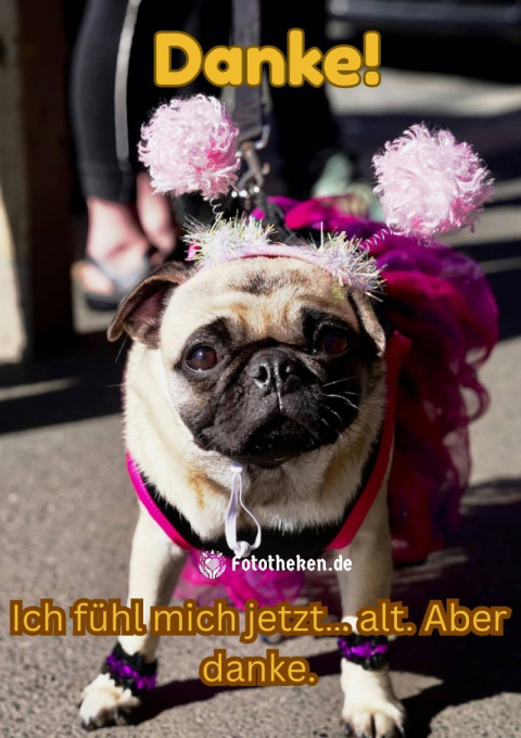 Danke! Ich fühl mich jetzt… alt Aber danke