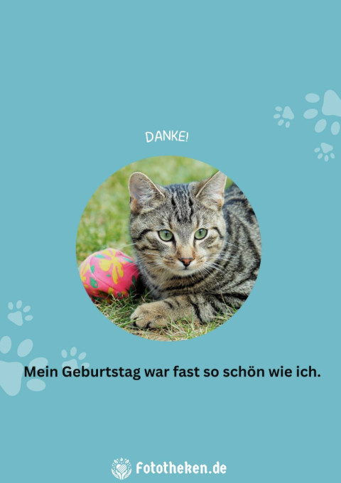 Danke! Mein Geburtstag war fast so schön wie ich