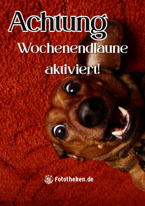 Achtung Wochenendlaune aktiviert!