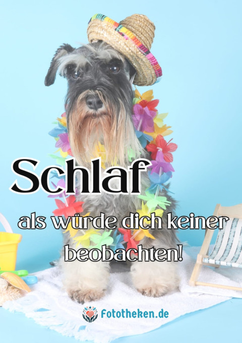 Schlaf, als würde dich keiner beobachten!