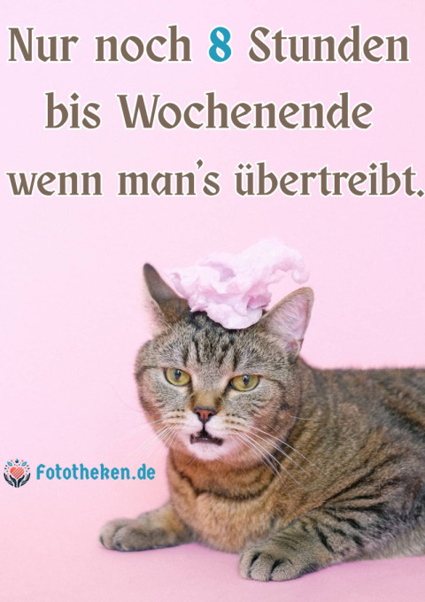 Nur noch 8 Stunden bis Wochenende    wenn man’s übertreibt