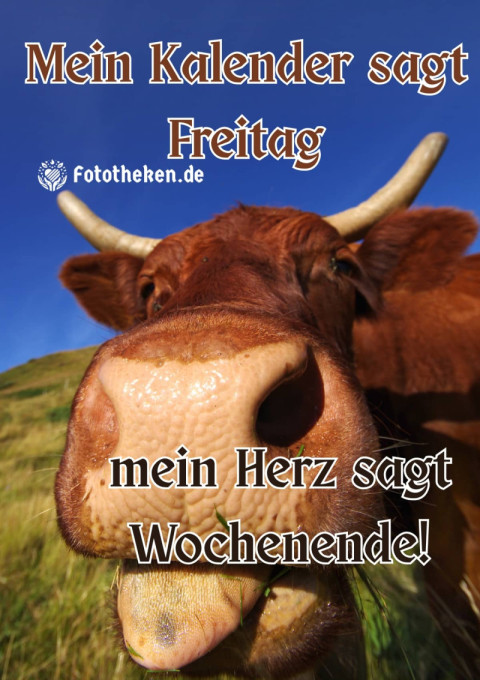 Mein Kalender sagt Freitag – mein Herz sagt Wochenende!